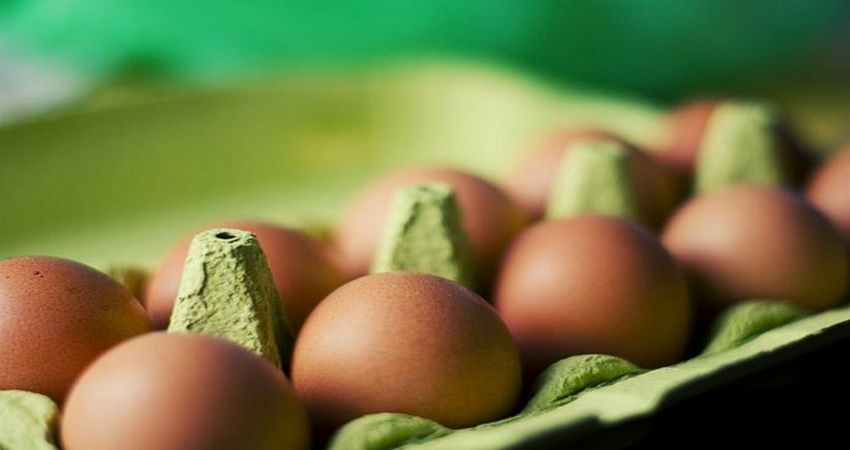 Σοκάρουν την Ευρώπη οι αποκαλύψεις για Μολυσμένα Αυγά!