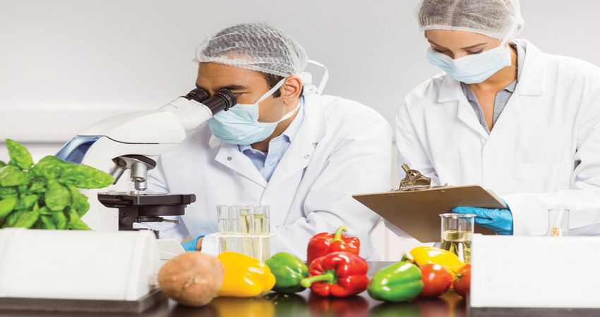 Χημικές Αναλύσεις και Έλεγχος Ποιότητας: Αποκτήστε τη γνώση που θα σας κάνει περιζήτητους στον κλάδο των τροφίμων!