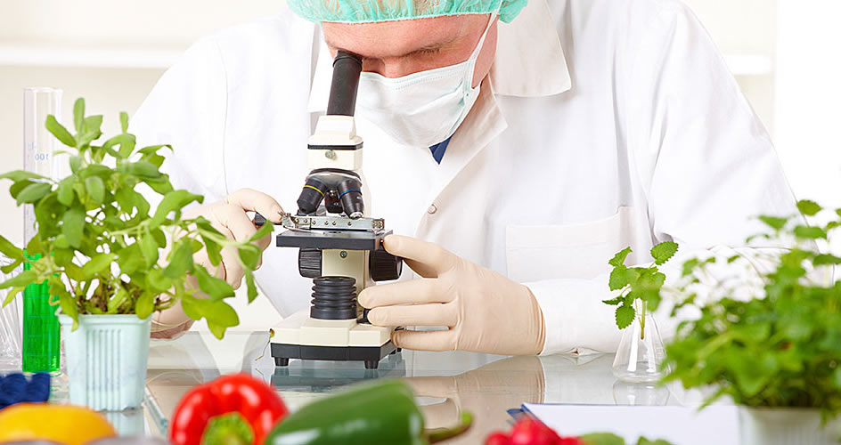 Χημική Ανάλυση και Έλεγχος Ποιότητας Τροφίμων - Καλοκαιρινή Προσφορά